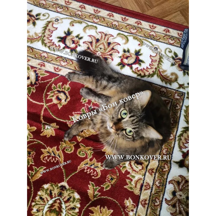 Ковер для гостиной Арт 25490 New 2