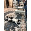 Турецкий Ковер Для Медальон Дизайн 30573 Синий